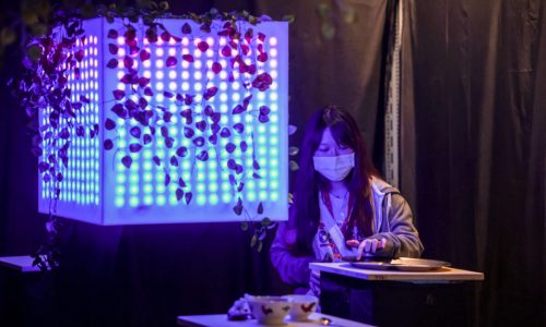 Natroverse | DDM211 Final Year Exhibition