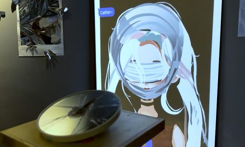 imPERFECTion | Interactive Multimedia